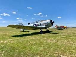 2019 - Rassemblement Aeropassion